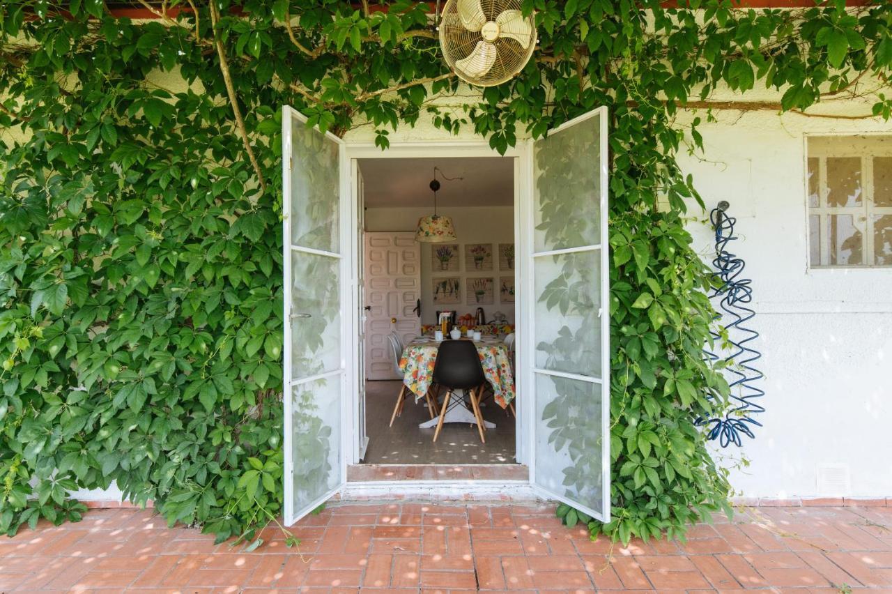 La Casita De Hato Pinos, Un Rincon En Donana Aznalcázar エクステリア 写真